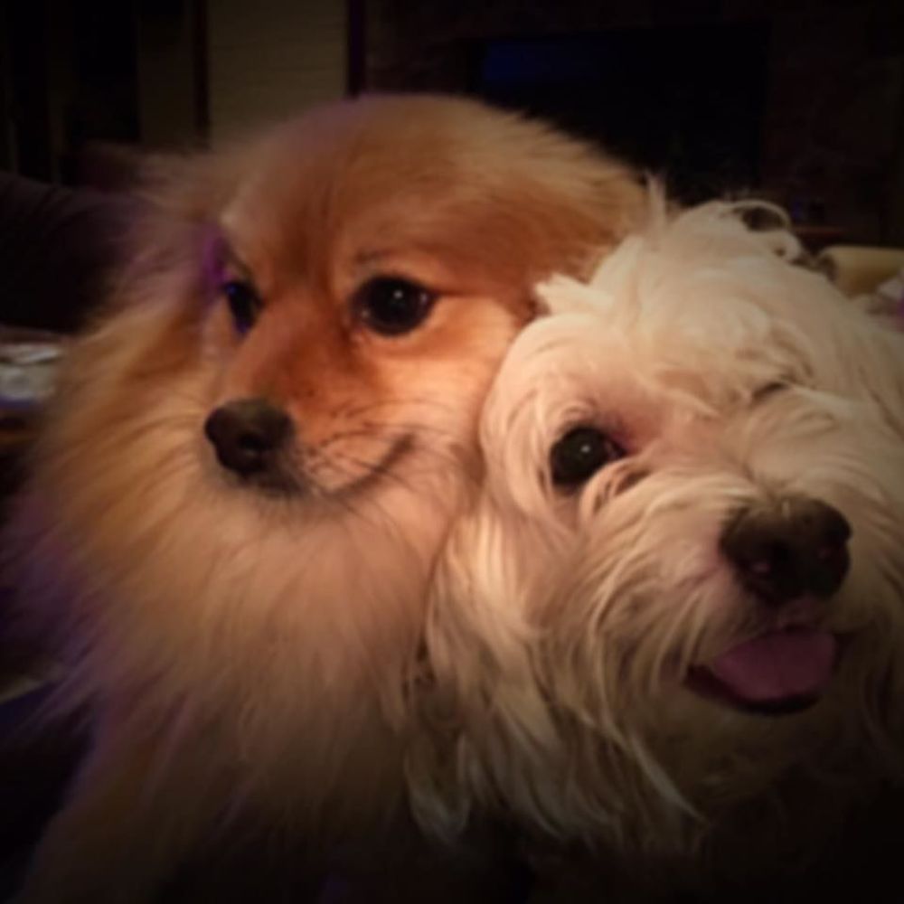 Meet your Posher, Winnie